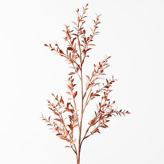 Ruscus Spray- Coral