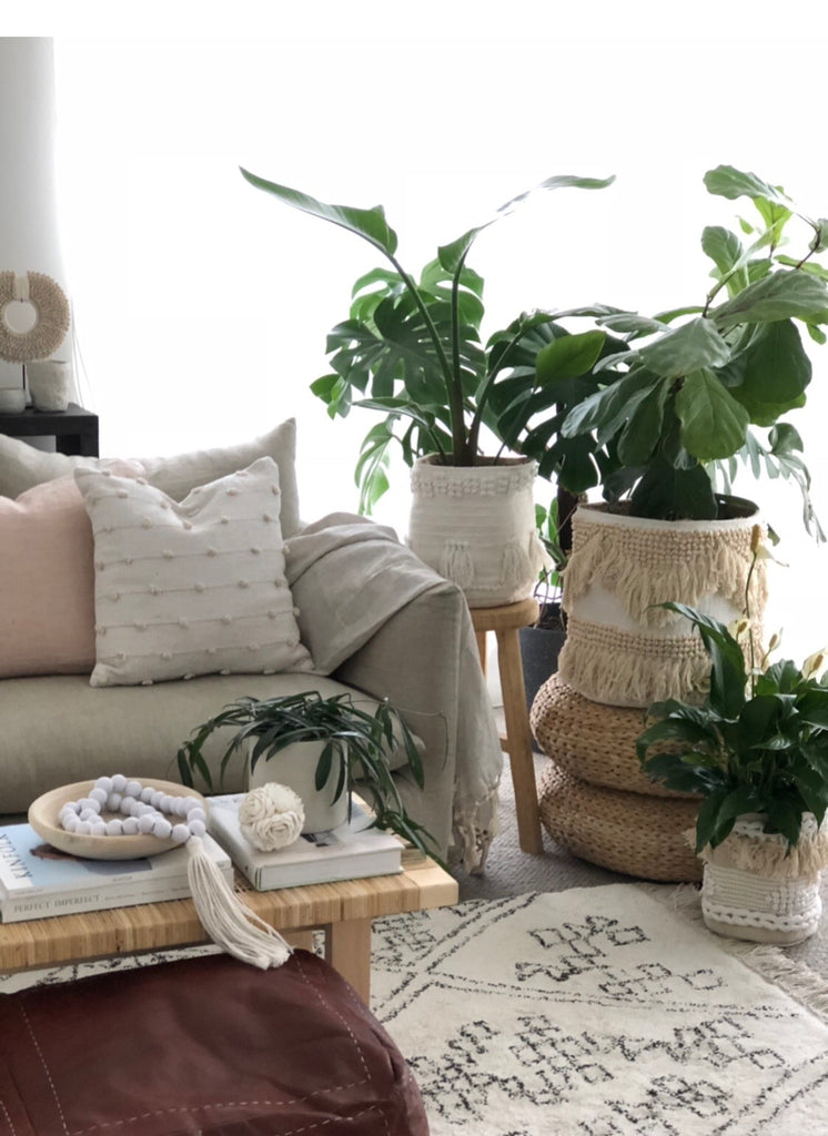 Plant Styling- by guest blogger Bettina Brent