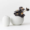 Alli Vase- White