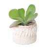 Oahu Crochet Shell Pot