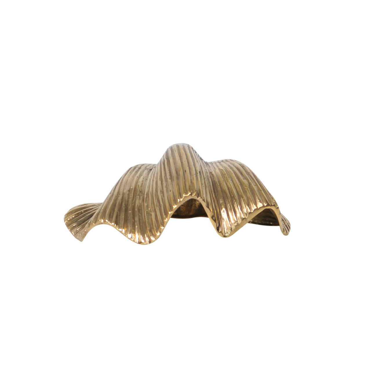 Brass Clam Shell- Gold