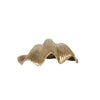 Brass Clam Shell- Gold