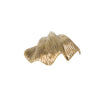 Brass Clam Shell- Gold