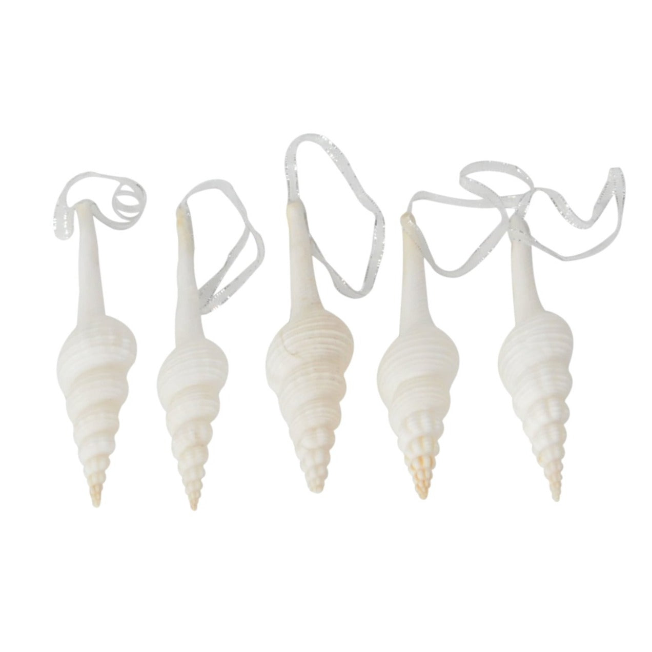 Spiral Shell Decoration- Set 5