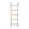 Palm Springs Ladder