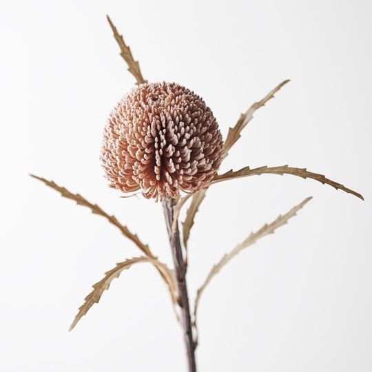 artificial-banksia-stem-faux-flower-seatribe-australia