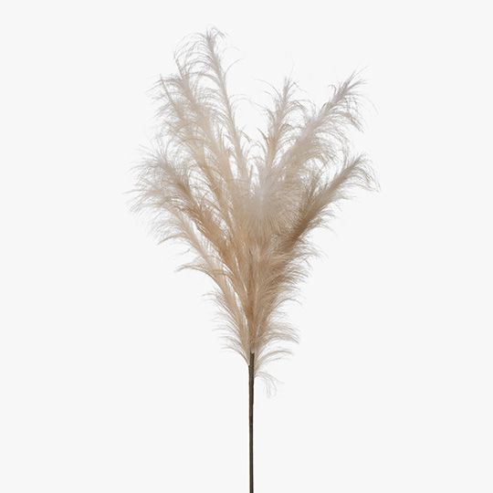 Pampas Spray- Blush